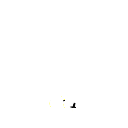 xx8 bonus